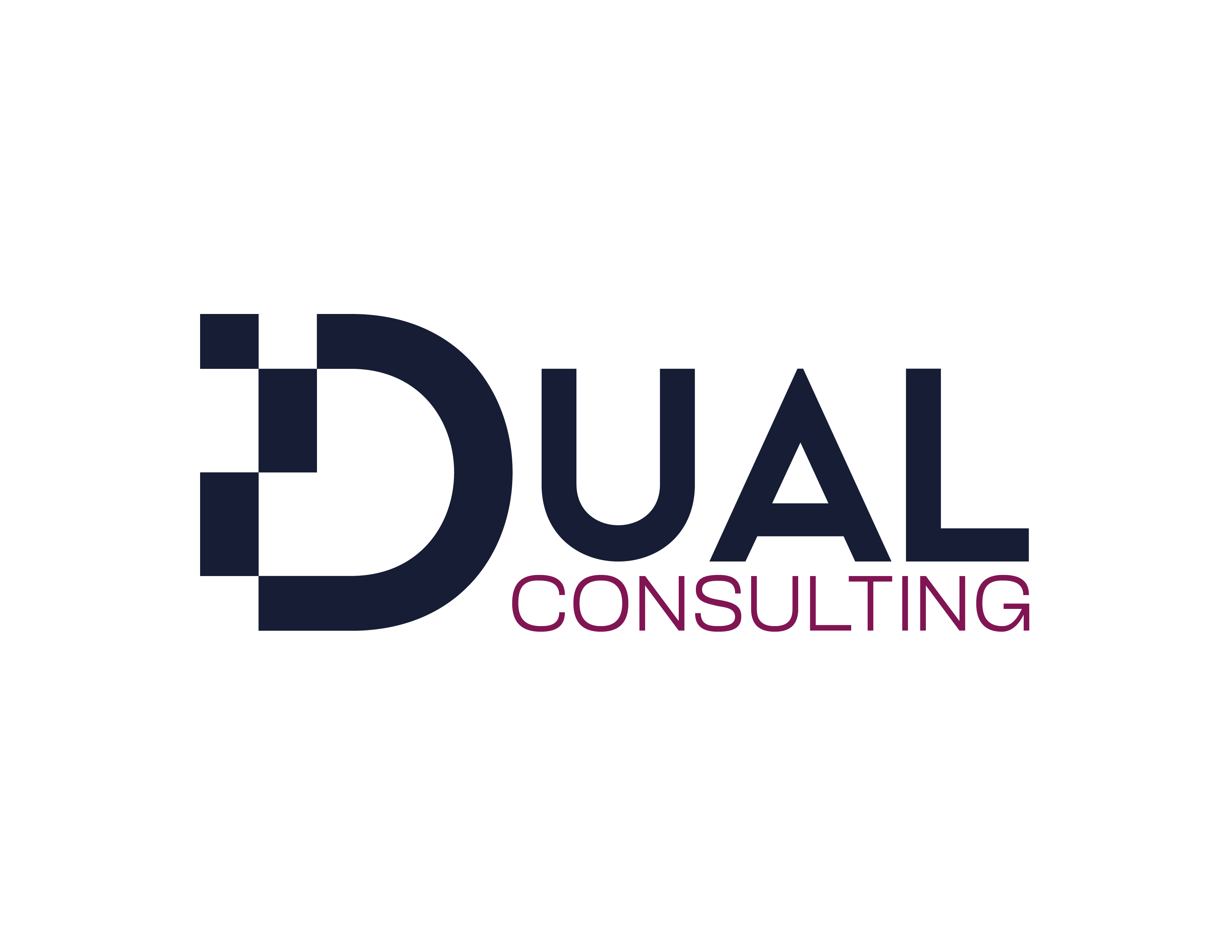 DUAL Consulting